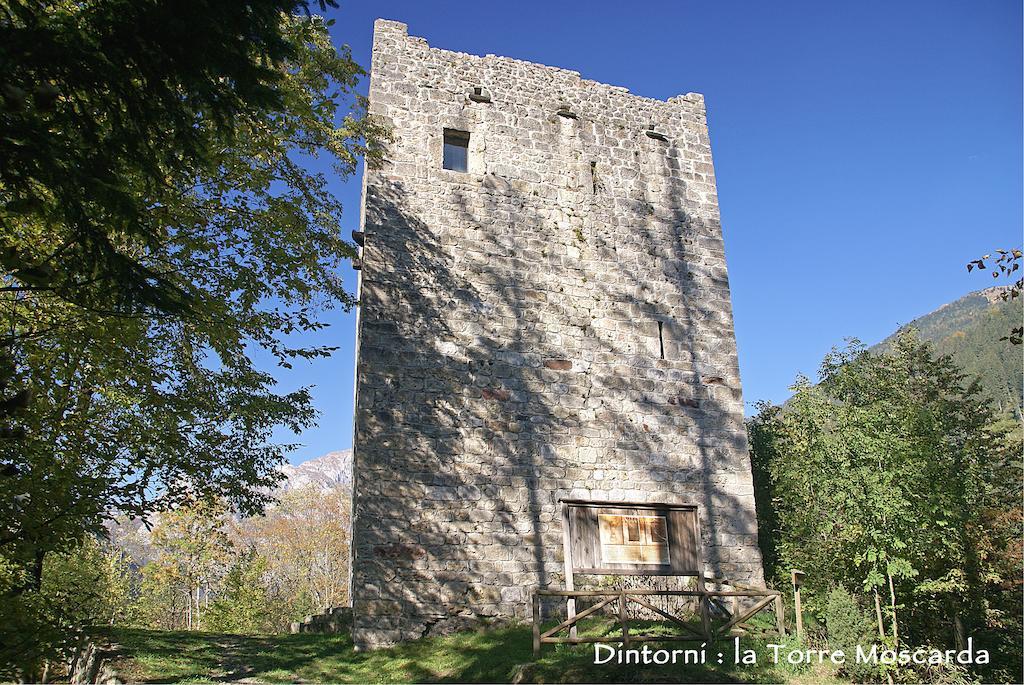 Agriturismo Bosco Di Museis Villa Cercivento Eksteriør bilde